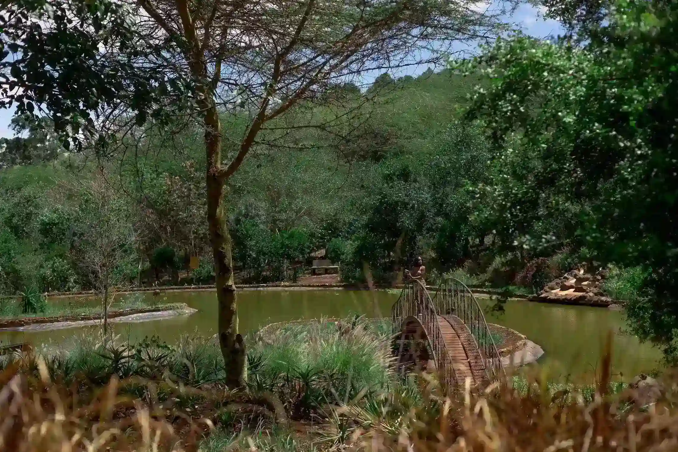 Lake at the retreat at ngorongoro