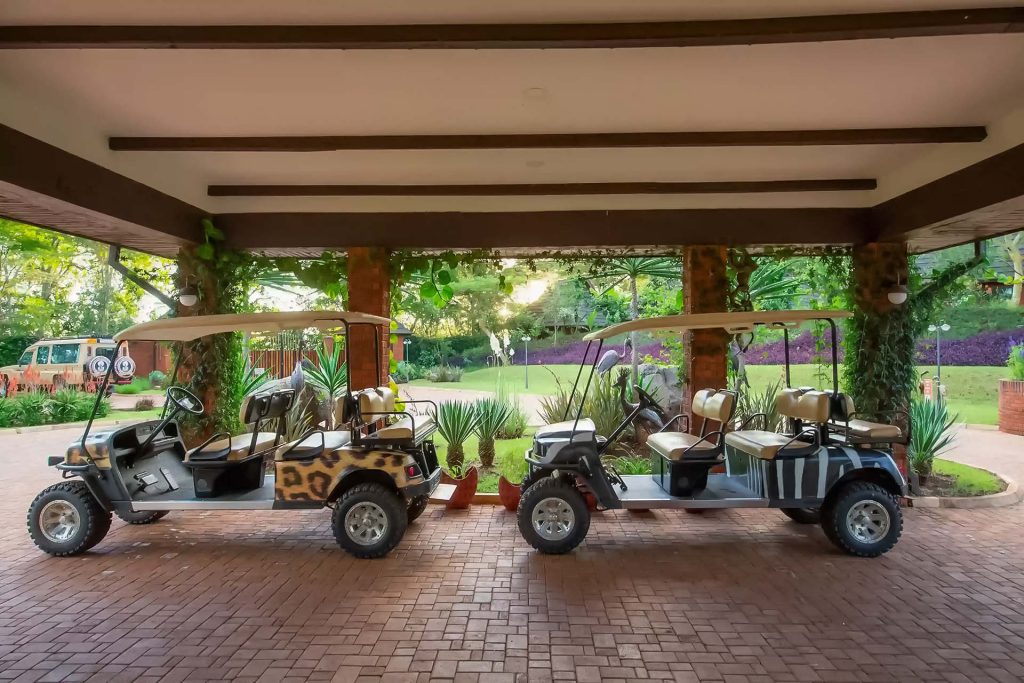 activities in the ngorongoro area