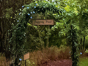 jogging trail in the ngorongoro area